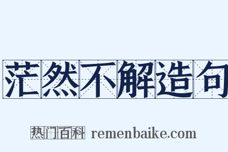 茫然不解造句是什么意思的图片